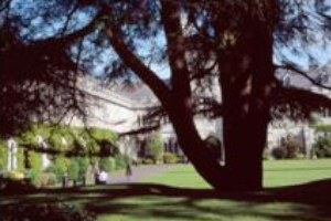 UCCキャンパスは厳かな雰囲気