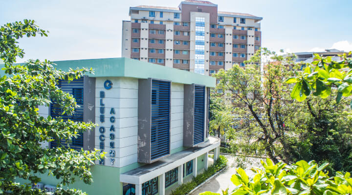 セブブルーオーシャンのトップ画像