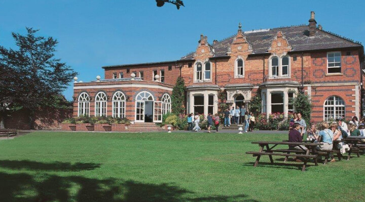 アングロラングアカデミーオブイングリッシュのトップ画像