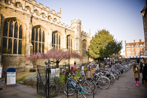 ケンブリッジでアクティビティ