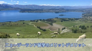 ニュージーランド留学のメリット・デメリット完全ガイド|向いている人も解説
