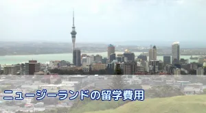 ニュージーランド留学費用はいくら？留学費用相場と学費・滞在費・生活費を抑える