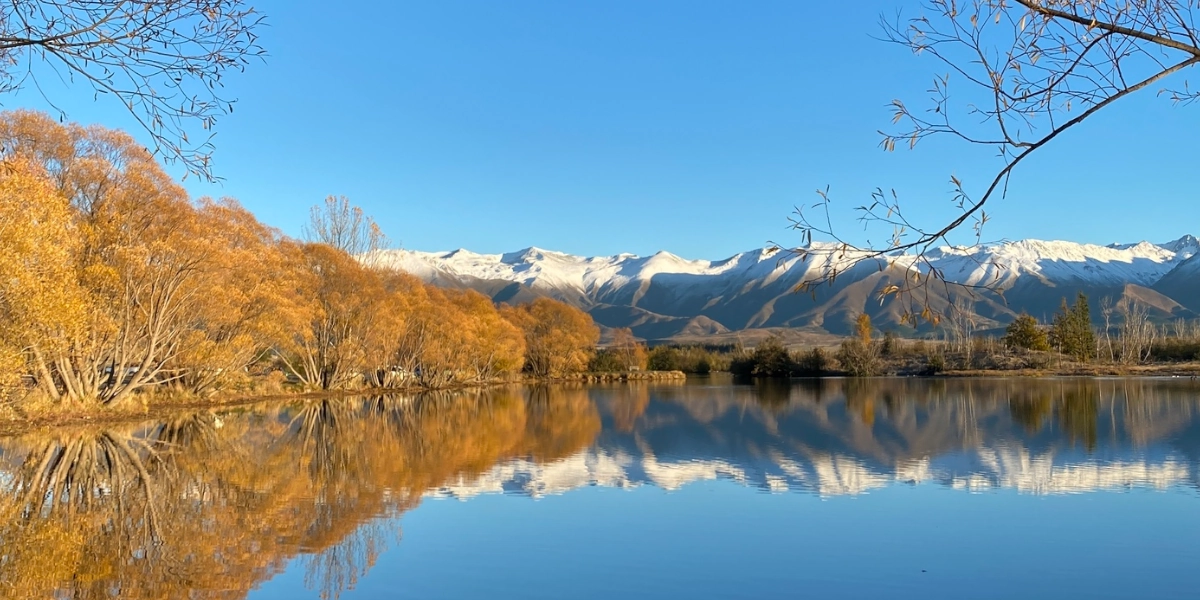 ニュージーランドの自然山