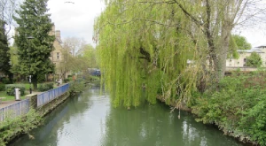 留学前に知っておきたいイギリスの気温・気候と春夏秋冬別の服装